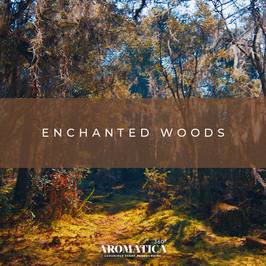 Enchanted Woods