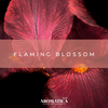 Flaming Blossom