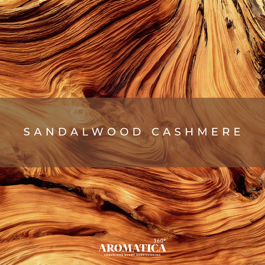 SandalWood Cashmere
